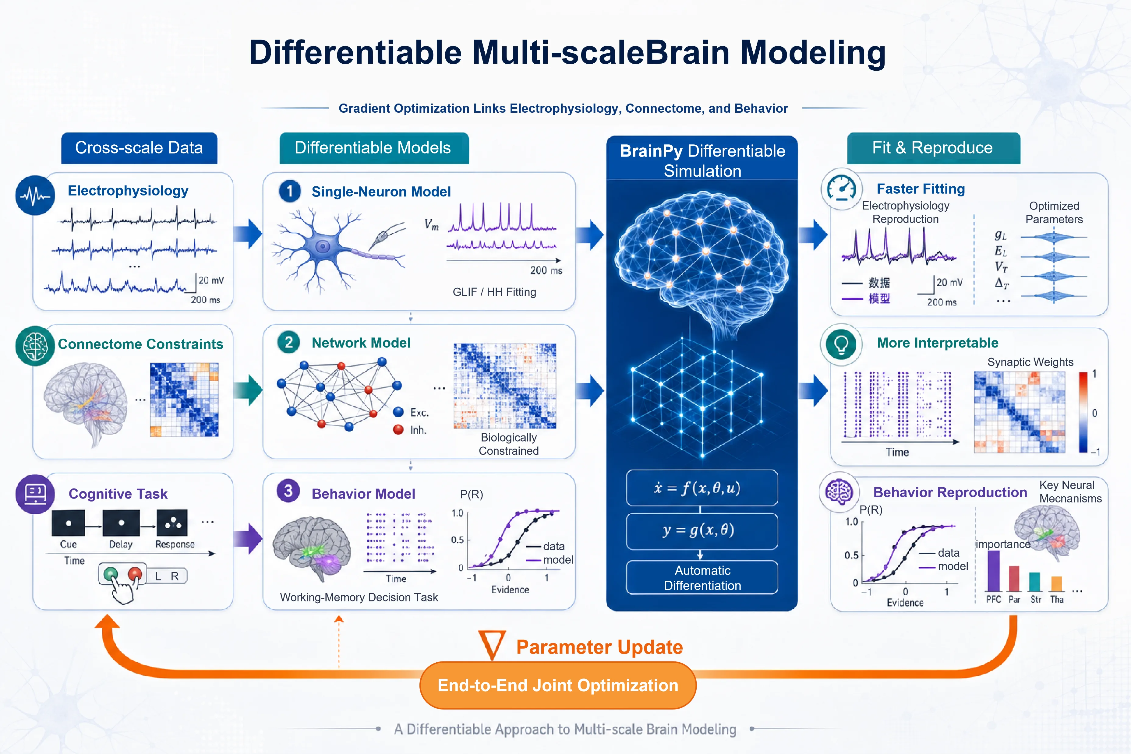 2. A differentiable approach to multi-scale brain modeling